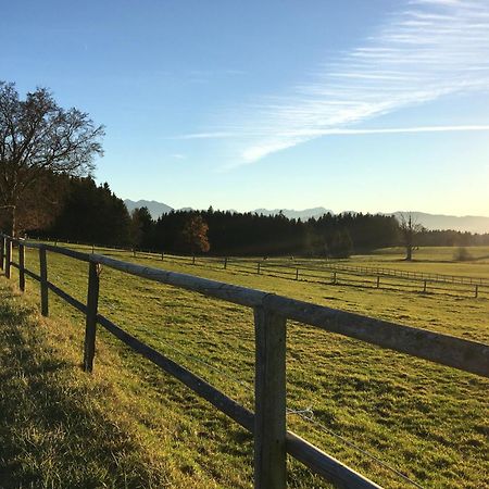 Ferienhaus Antdorfer Gartenglueck Eksteriør bilde
