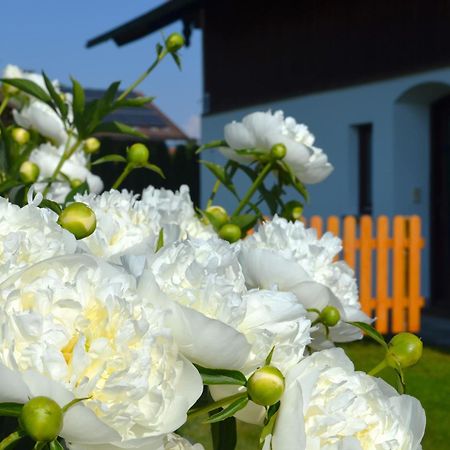 Ferienhaus Antdorfer Gartenglueck Eksteriør bilde
